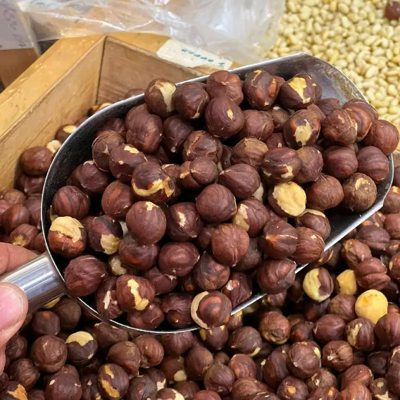 بندق