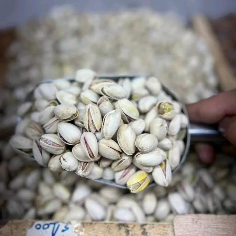 فستق بلقشرة نيء