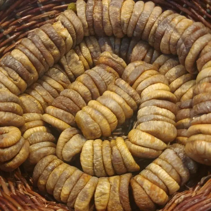 عالم التين