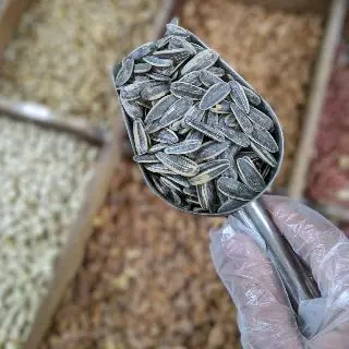 كحلوشة