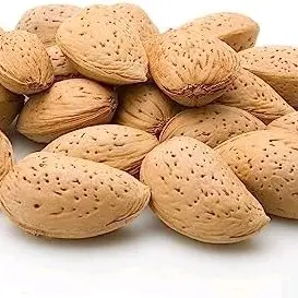 لوز بالقشرة