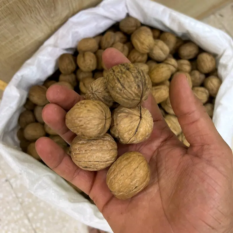 جوز