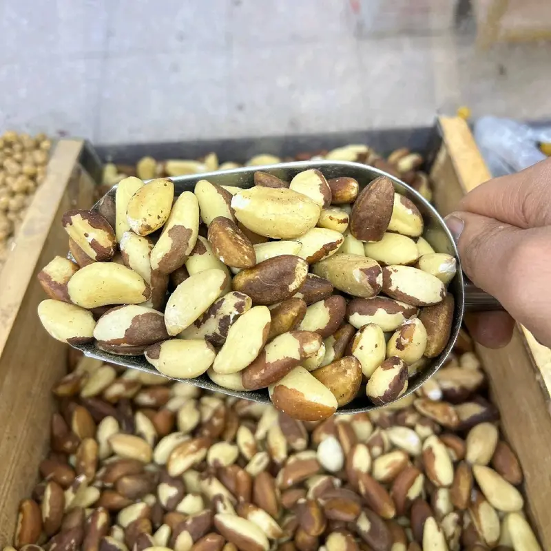لوز برازيلي ني
