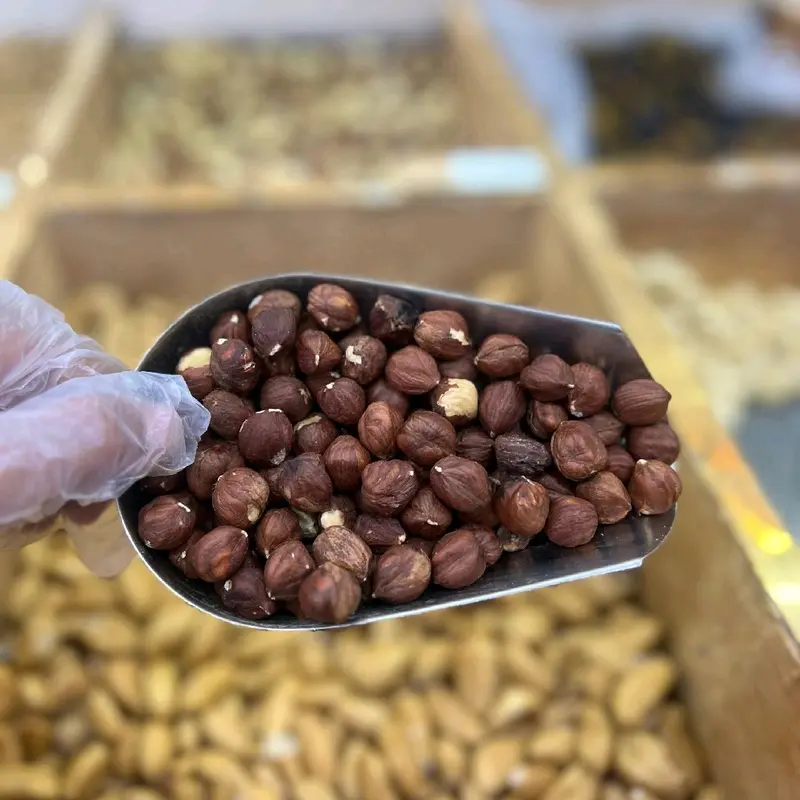 بندق